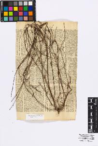 SW_BNB_s3010-16752_IMG-0000000001