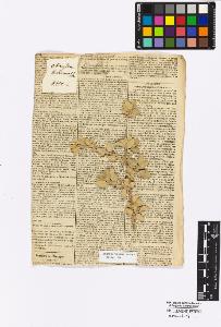 SW_BNB_s3010-16753_IMG-0000000001