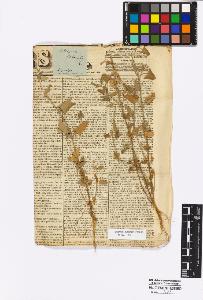 SW_BNB_s3010-16754_IMG-0000000001