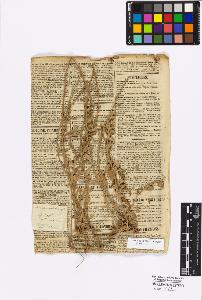 SW_BNB_s3010-16755_IMG-0000000001