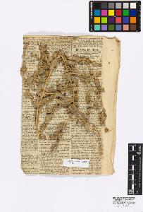 SW_BNB_s3010-16756_IMG-0000000001