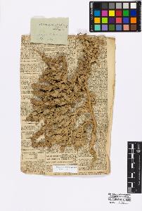 SW_BNB_s3010-16757_IMG-0000000001