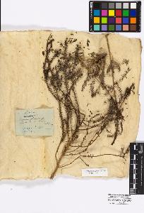 SW_BNB_s3010-16758_IMG-0000000001