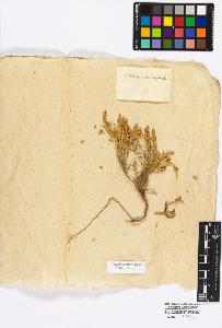 SW_BNB_s3010-16759_IMG-0000000001