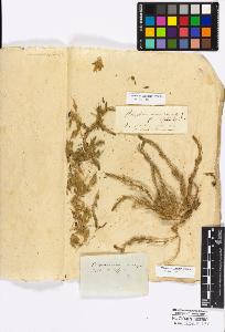 SW_BNB_s3010-16761_IMG-0000000001