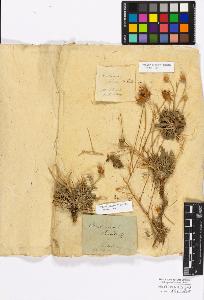 SW_BNB_s3010-16762_IMG-0000000001