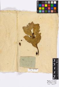 SW_BNB_s3010-16764_IMG-0000000001