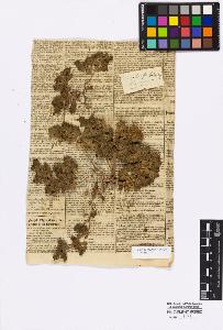 SW_BNB_s3010-16765_IMG-0000000001