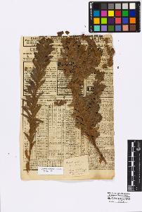 SW_BNB_s3010-16766_IMG-0000000001