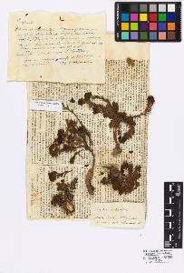 SW_BNB_s3010-16767_IMG-0000000001