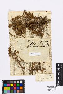 SW_BNB_s3010-16768_IMG-0000000001