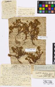 SW_BNB_s3010-16769_IMG-0000000001