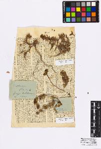 SW_BNB_s3010-16772_IMG-0000000001