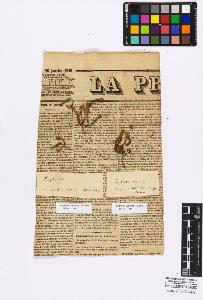 SW_BNB_s3010-16773_IMG-0000000001