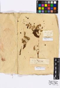 SW_BNB_s3010-16775_IMG-0000000001