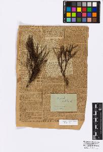 SW_BNB_s3010-16776_IMG-0000000001