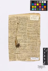 SW_BNB_s3010-16777_IMG-0000000001