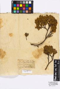 SW_BNB_s3010-16778_IMG-0000000001