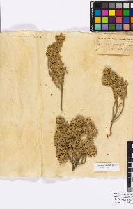 SW_BNB_s3010-16779_IMG-0000000001