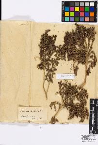 SW_BNB_s3010-16780_IMG-0000000001