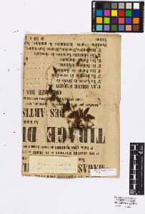 SW_BNB_s3010-16781_IMG-0000000001