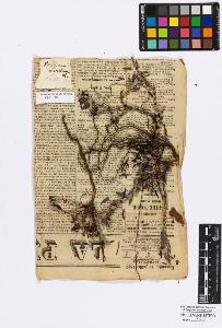 SW_BNB_s3010-16782_IMG-0000000001