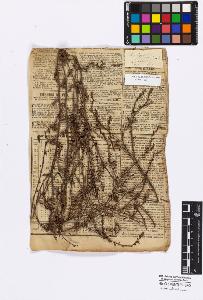 SW_BNB_s3010-16784_IMG-0000000001