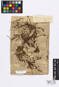 SW_BNB_s3010-16785_IMG-0000000001