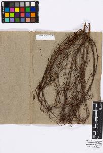 SW_BNB_s3010-16786_IMG-0000000001