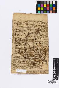 SW_BNB_s3010-16787_IMG-0000000001