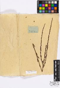 SW_BNB_s3010-16788_IMG-0000000001