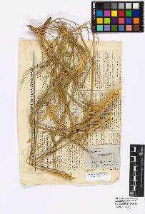 SW_BNB_s3010-16789_IMG-0000000001