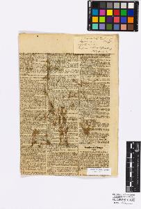 SW_BNB_s3010-16790_IMG-0000000001