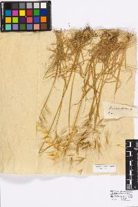 SW_BNB_s3010-16791_IMG-0000000001