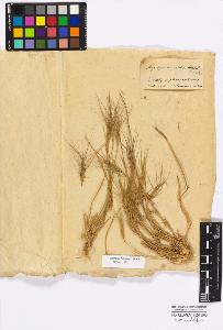 SW_BNB_s3010-16792_IMG-0000000001