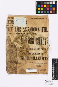 SW_BNB_s3010-16793_IMG-0000000001