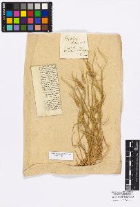 SW_BNB_s3010-16794_IMG-0000000001