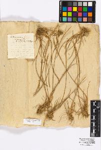 SW_BNB_s3010-16795_IMG-0000000001