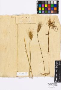 SW_BNB_s3010-16796_IMG-0000000001