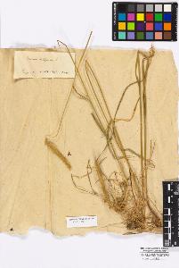 SW_BNB_s3010-16797_IMG-0000000001