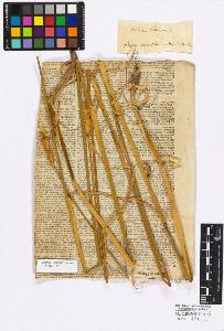 SW_BNB_s3010-16798_IMG-0000000001