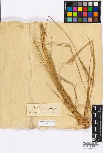 SW_BNB_s3010-16801_IMG-0000000001