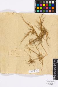 SW_BNB_s3010-16802_IMG-0000000001