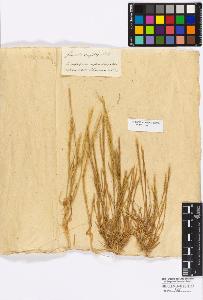 SW_BNB_s3010-16803_IMG-0000000001