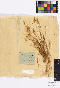 SW_BNB_s3010-16804_IMG-0000000001