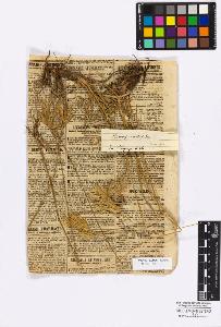 SW_BNB_s3010-16805_IMG-0000000001