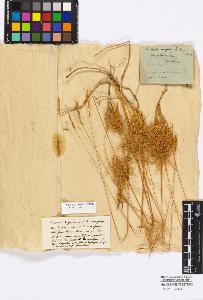 SW_BNB_s3010-16806_IMG-0000000001