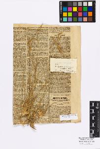 SW_BNB_s3010-16807_IMG-0000000001