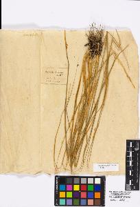 SW_BNB_s3010-16808_IMG-0000000001