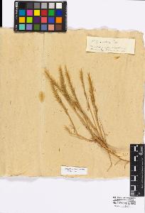 SW_BNB_s3010-16809_IMG-0000000001